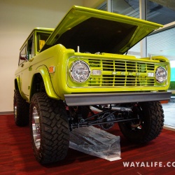 Lime Green Early Bronco