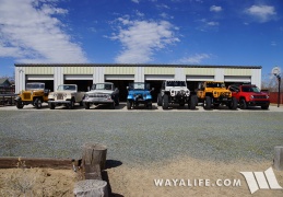 Camp WAYALIFE - display this album Camp WAYALIFE
