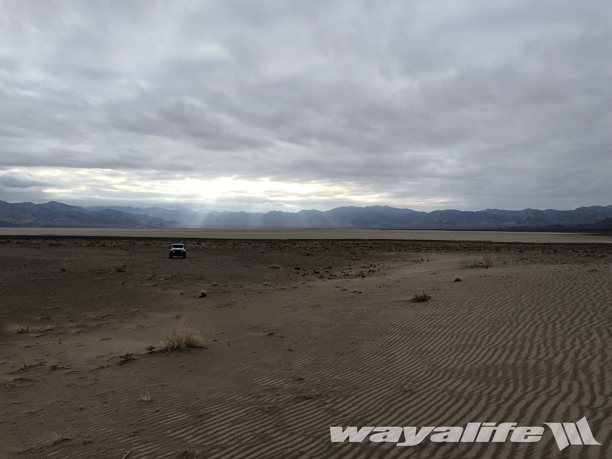 JL Wrangler in the Desert