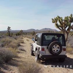 Mojave Desert 03-25-2000