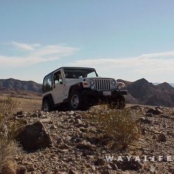 Mojave Desert 11-04-2000