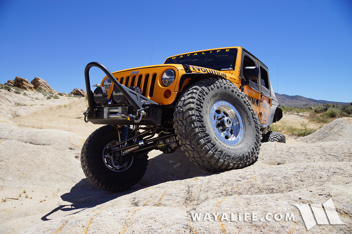 www.wayalife.com