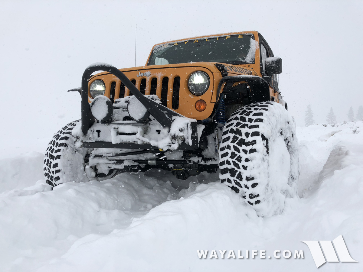 RUBICAT snow wheeling JK Wrangler