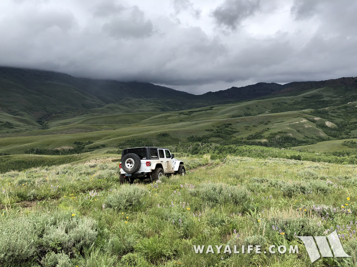 JL Wrangler in Jarbidge