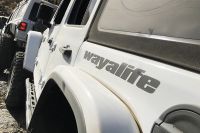 WAYALIFE Decal - 2.0 Rear Fender / Hood